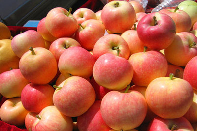 果多美加盟是否靠譜？剖析新鮮水果零售的機遇與挑戰