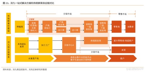 新股前瞻 | 沖擊港交所“鮮果品牌第一股”，洪九果品駛入增長快車道